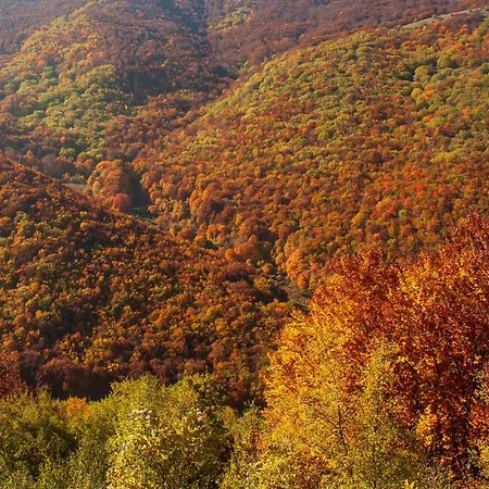 Casa vacanze Malu' Exclusive Retreat *